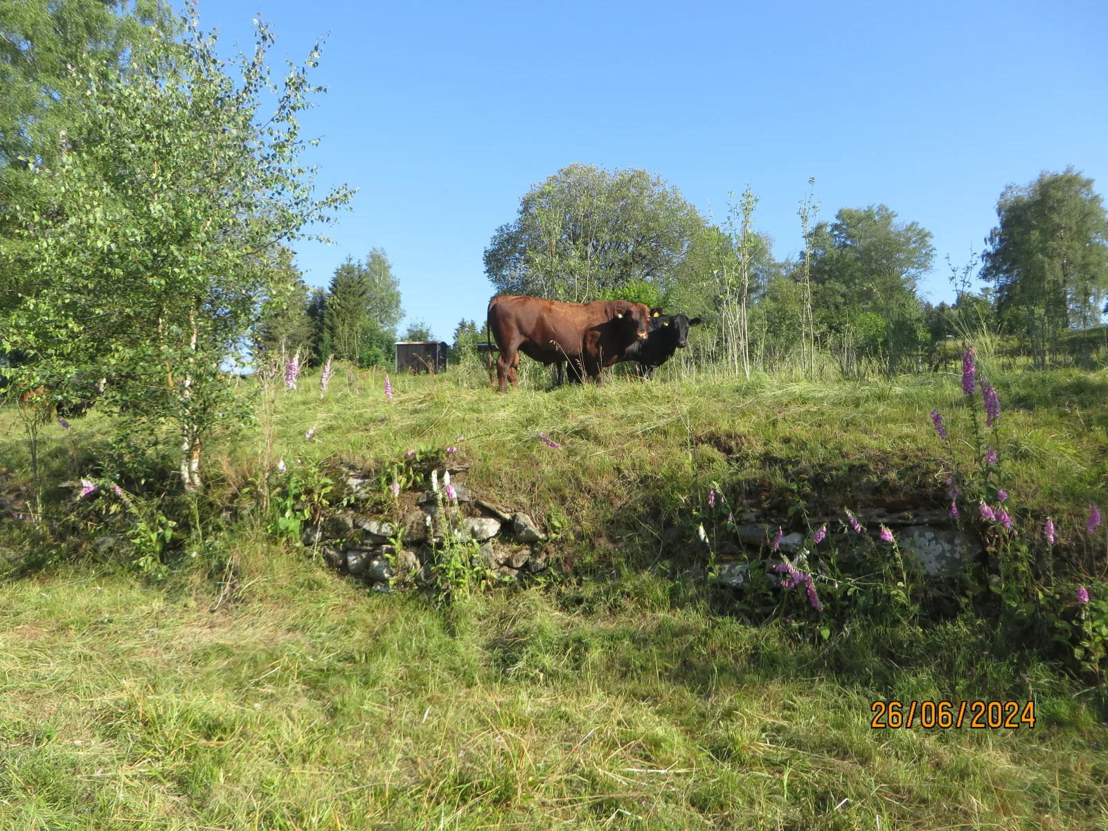 Bergblick