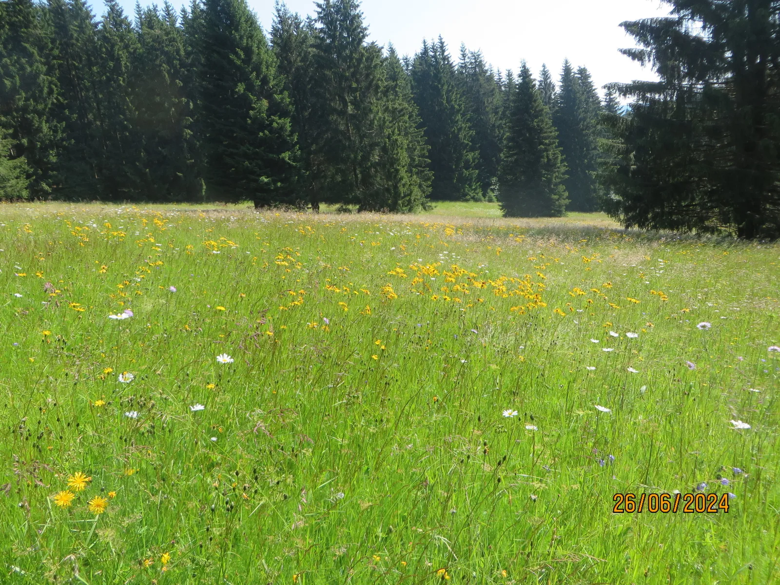 Bergblick