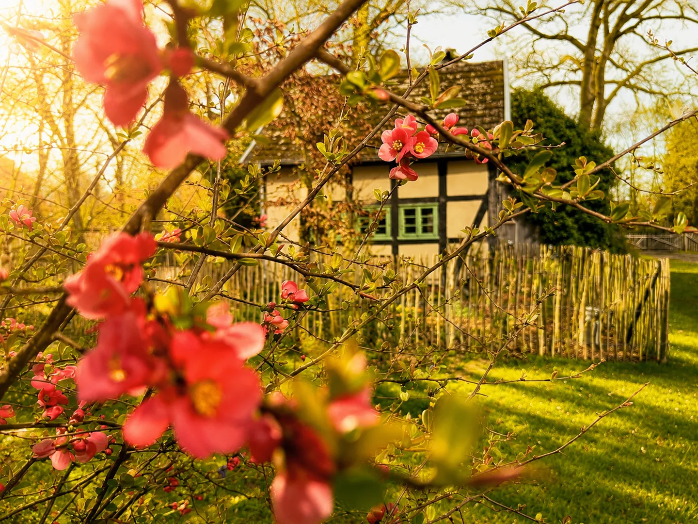 Idyllisches Ferienhaus Nähe Dümmer See | Auszeit | Sauna | Kraniche