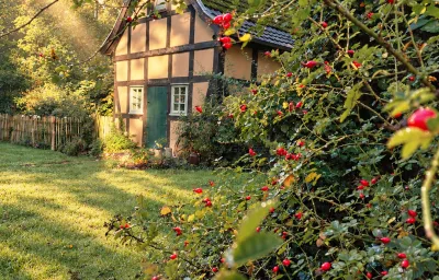 Idyllisches Ferienhaus Nähe Dümmer See | Auszeit | Sauna | Kraniche