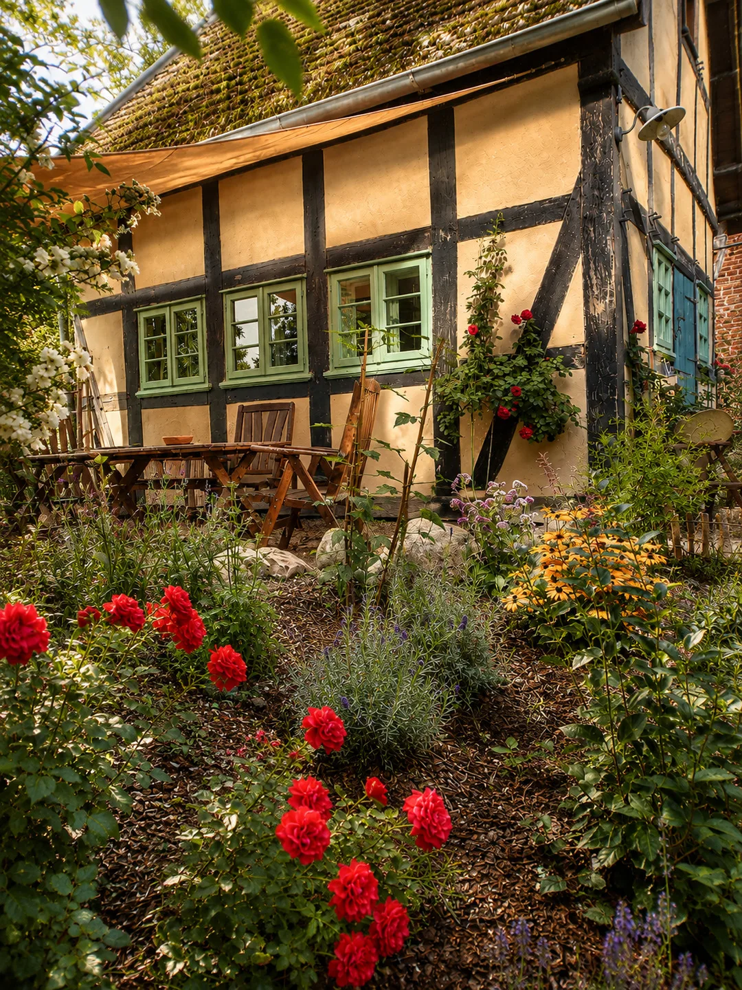 Idyllisches Ferienhaus Nähe Dümmer See | Auszeit | Sauna | Kraniche