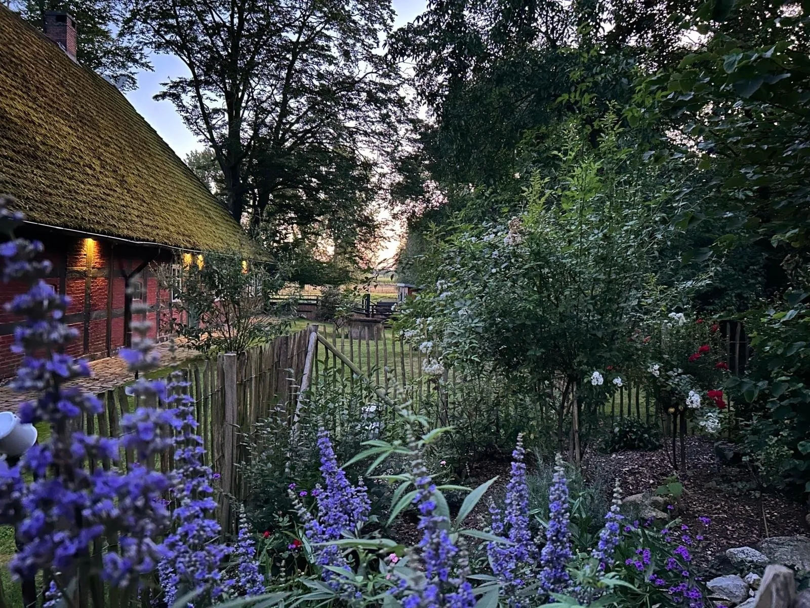 Idyllisches Ferienhaus Nähe Dümmer See | Auszeit | Sauna | Kraniche