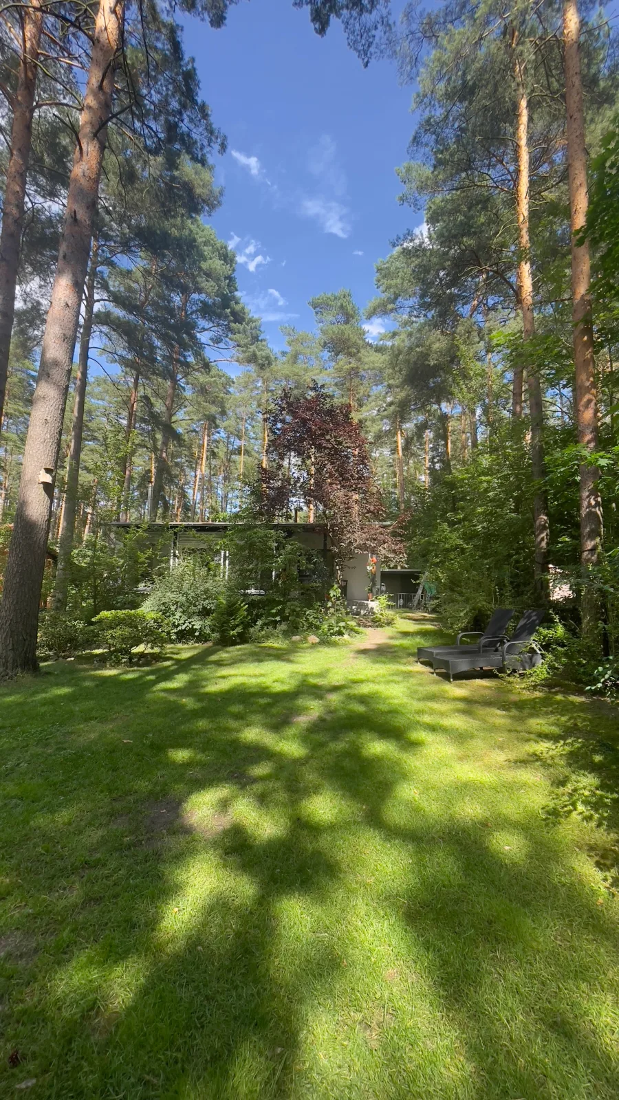 Erholungshaus "Kolibri" direkt in Wandlitz/Wald/ See, Haustiere