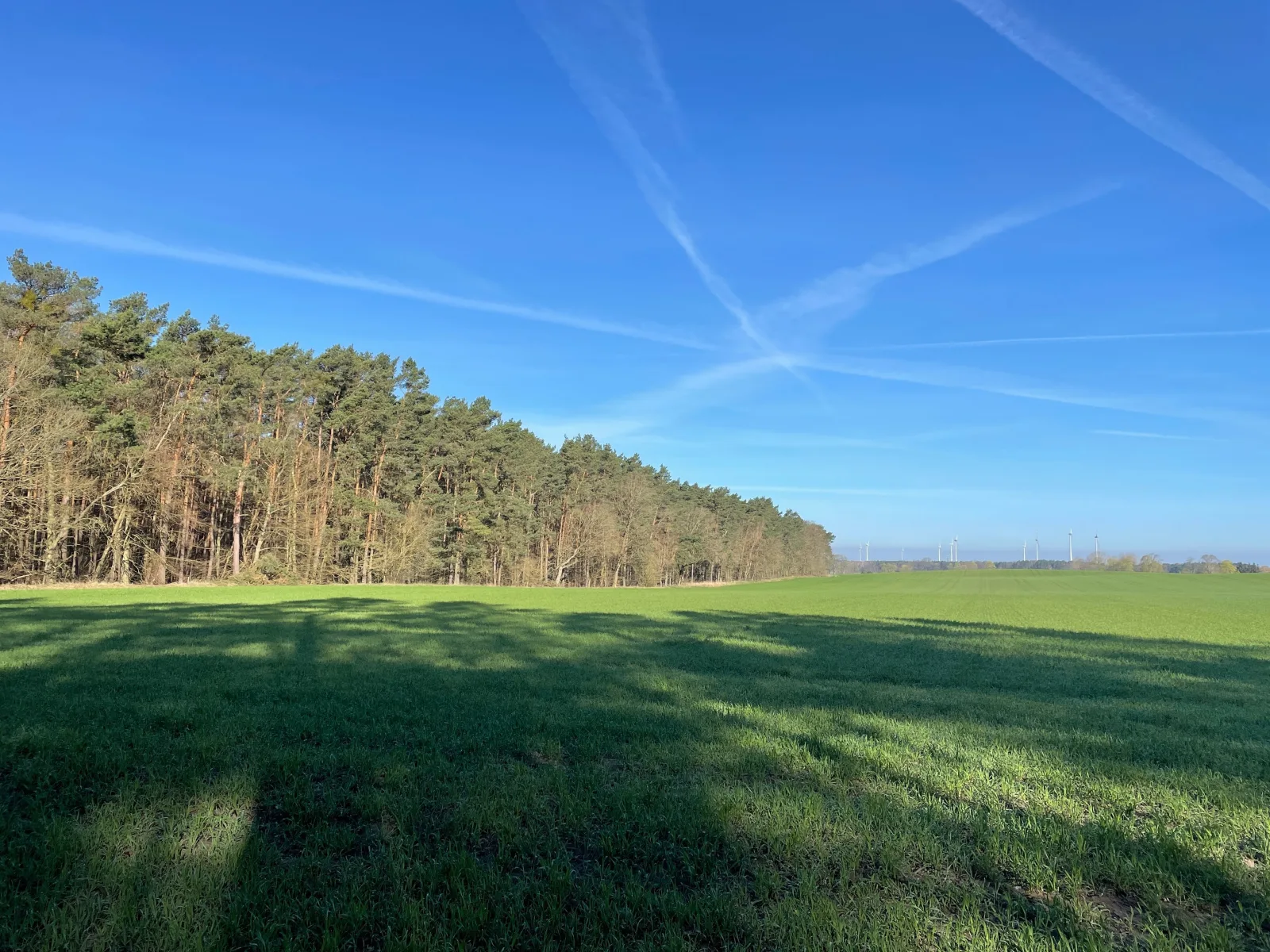 Erholungshaus "Kolibri" direkt in Wandlitz/Wald/ See, Haustiere