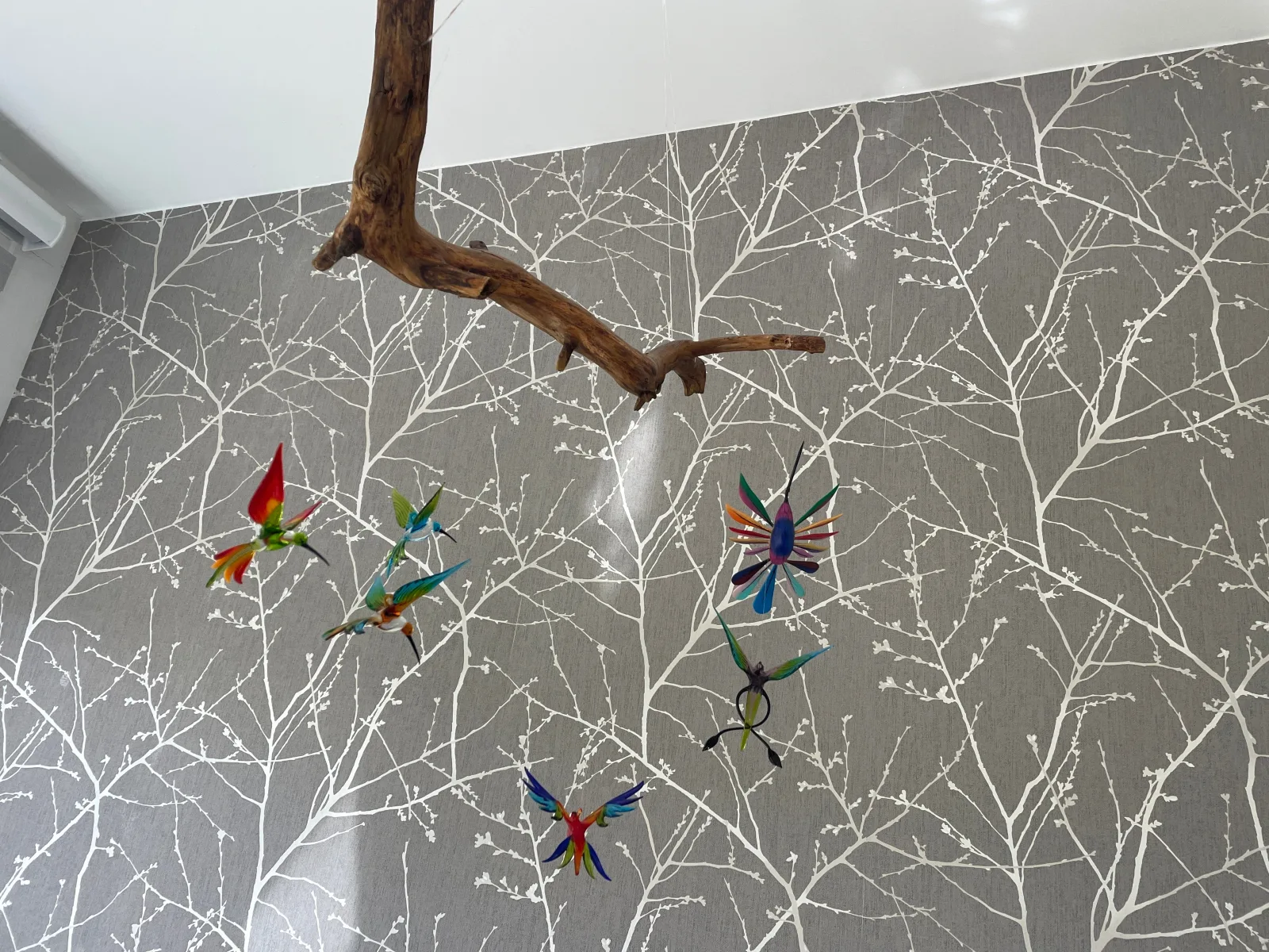 Erholungshaus "Kolibri" direkt in Wandlitz/Wald/ See, Haustiere