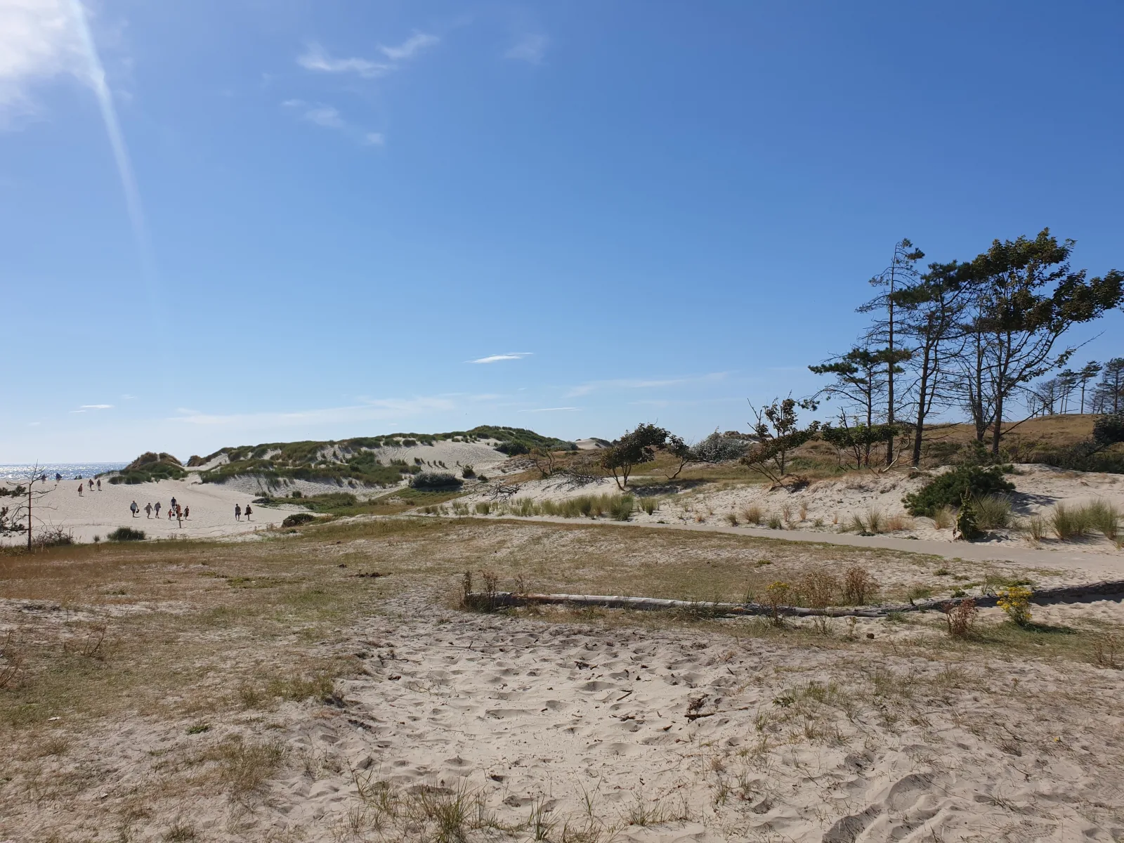 Ferienparadies Seeluft