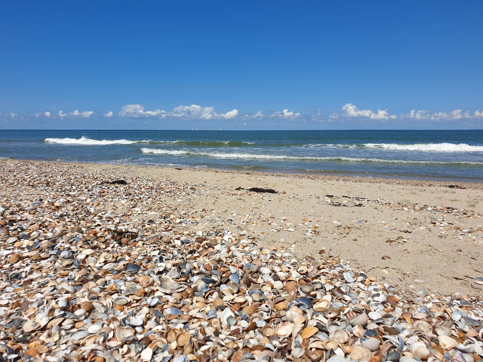 Ferienparadies Seeluft