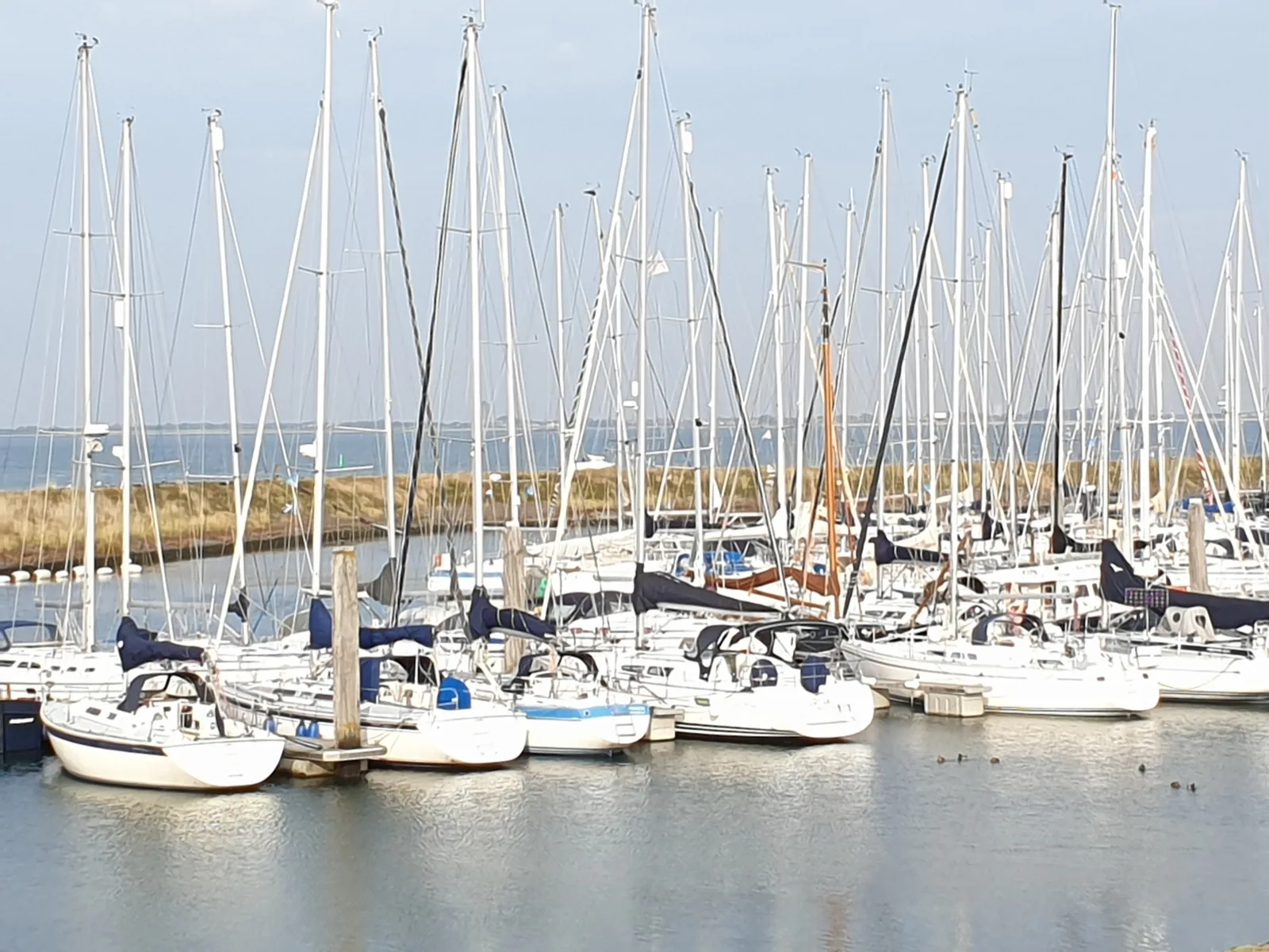 Ferienparadies Seeluft