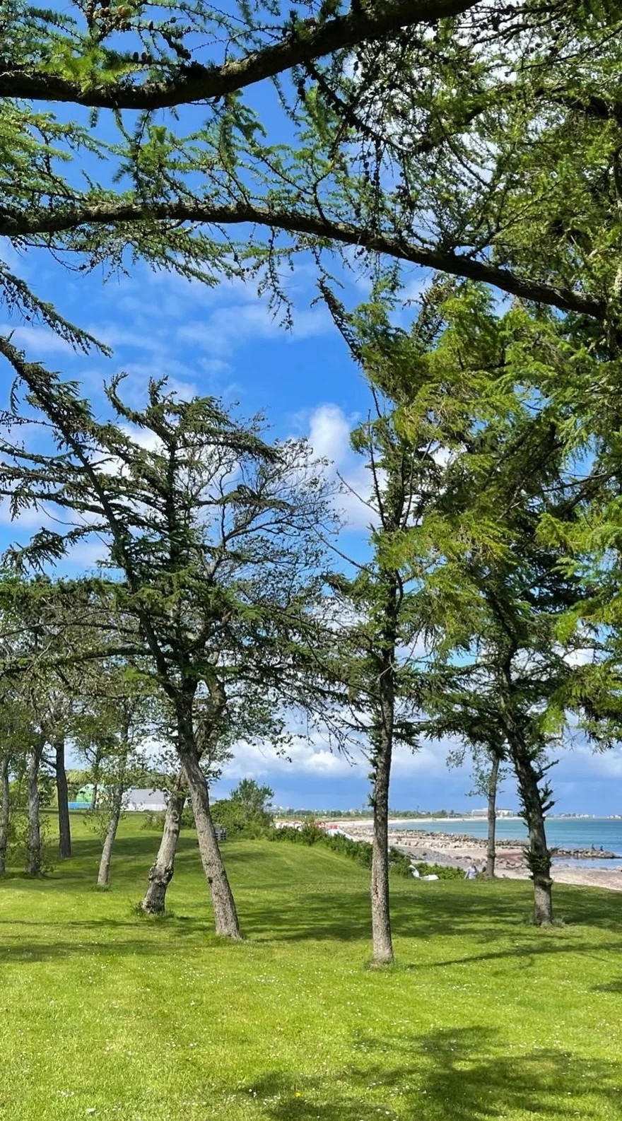 Strand Ferien, Ostsee Urlaub,  Ferienwohnung am Strand in Schlei Nähe , Umgebung von Kappeln u. Damp