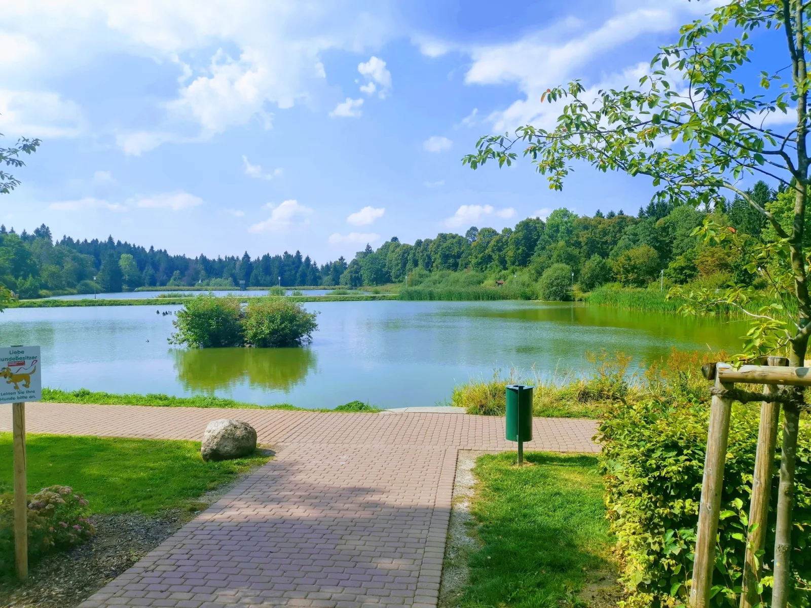 Hahnenklee mit Seeblick 219