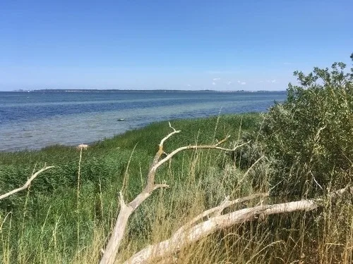 Strandhaus Fiete "Haus Walfisch"