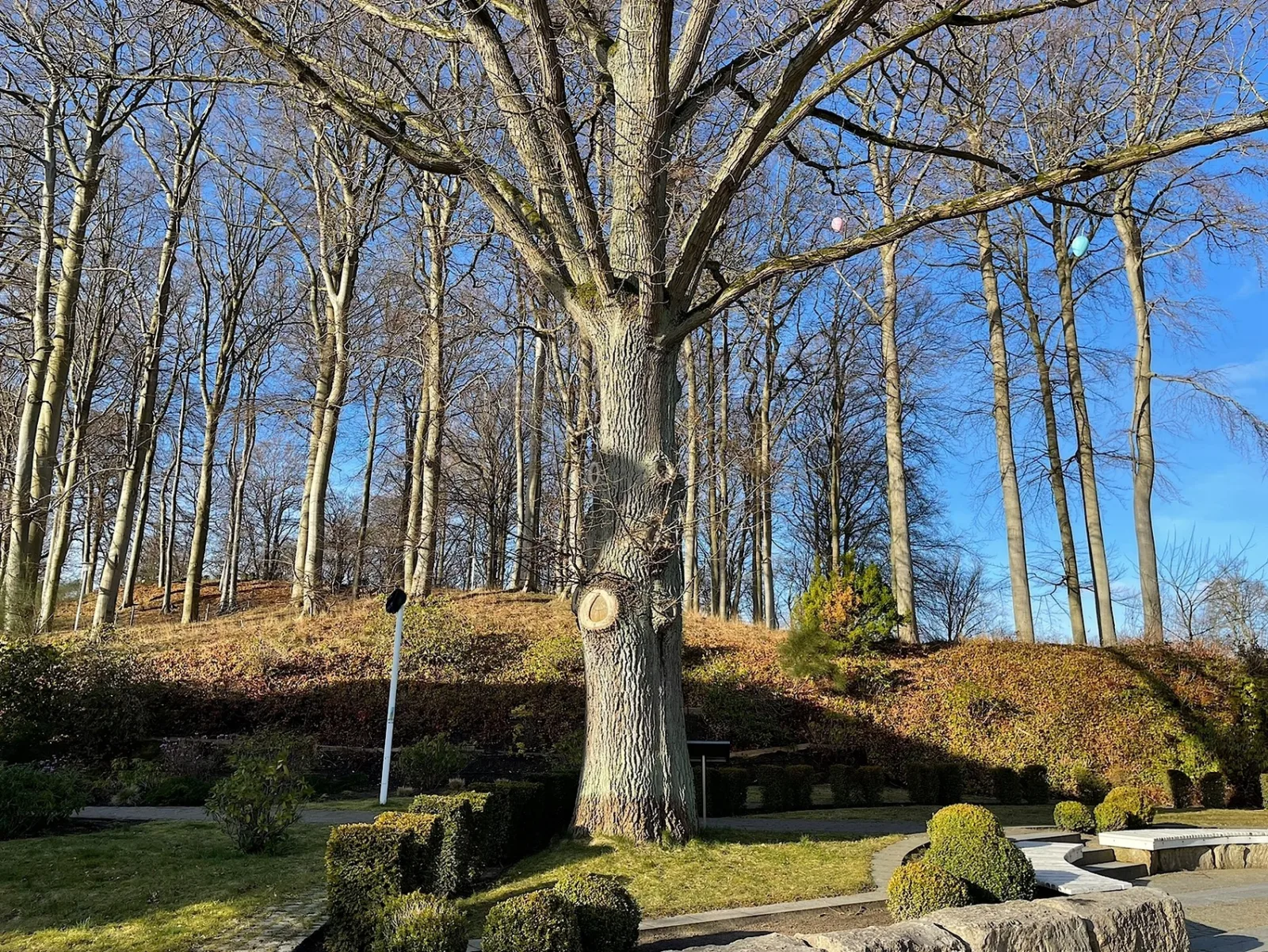 Fewo Wilhelmine (Villa Sonneck)