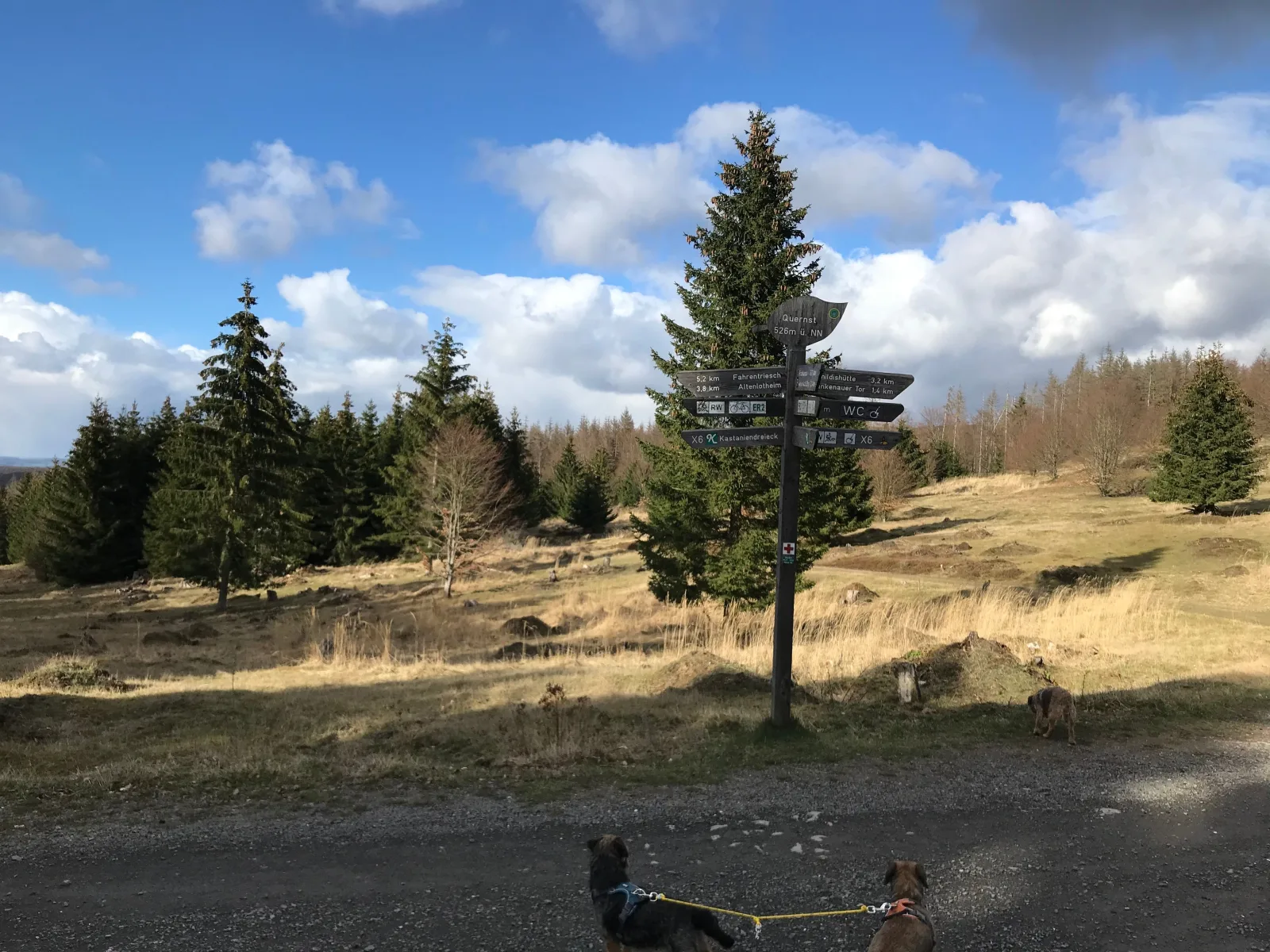 Ferienwohnung Kellerwald