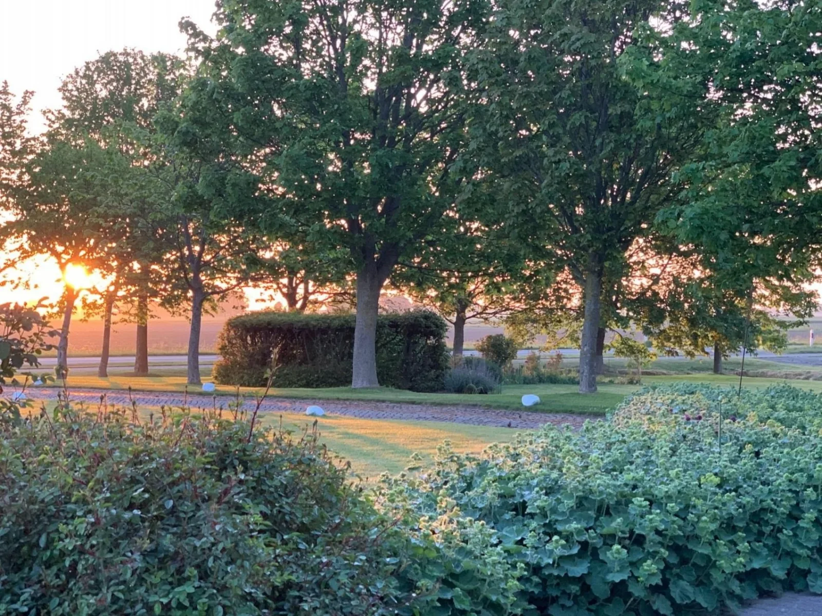 Ferienhof Schoof No.1