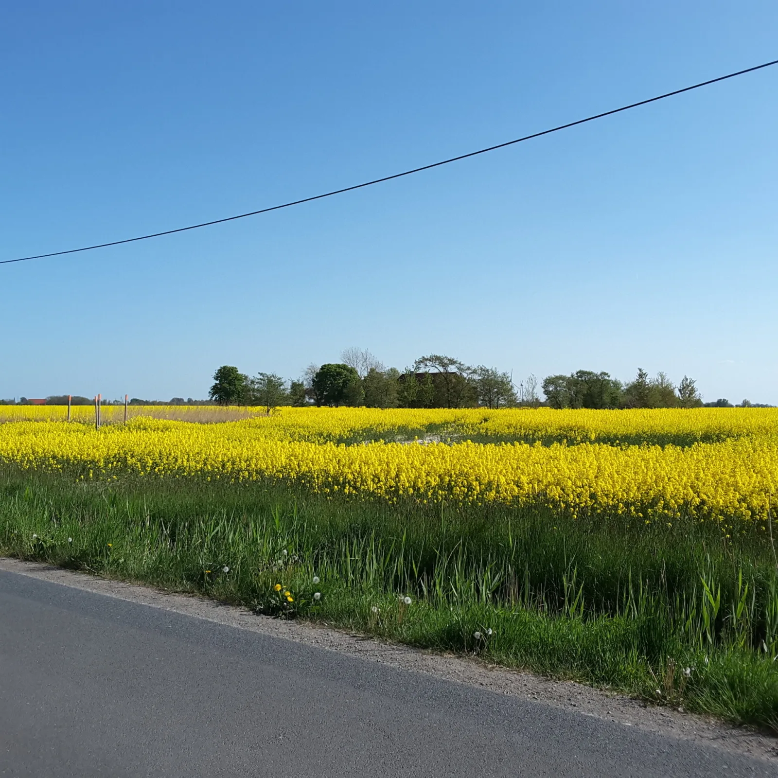 Heimat