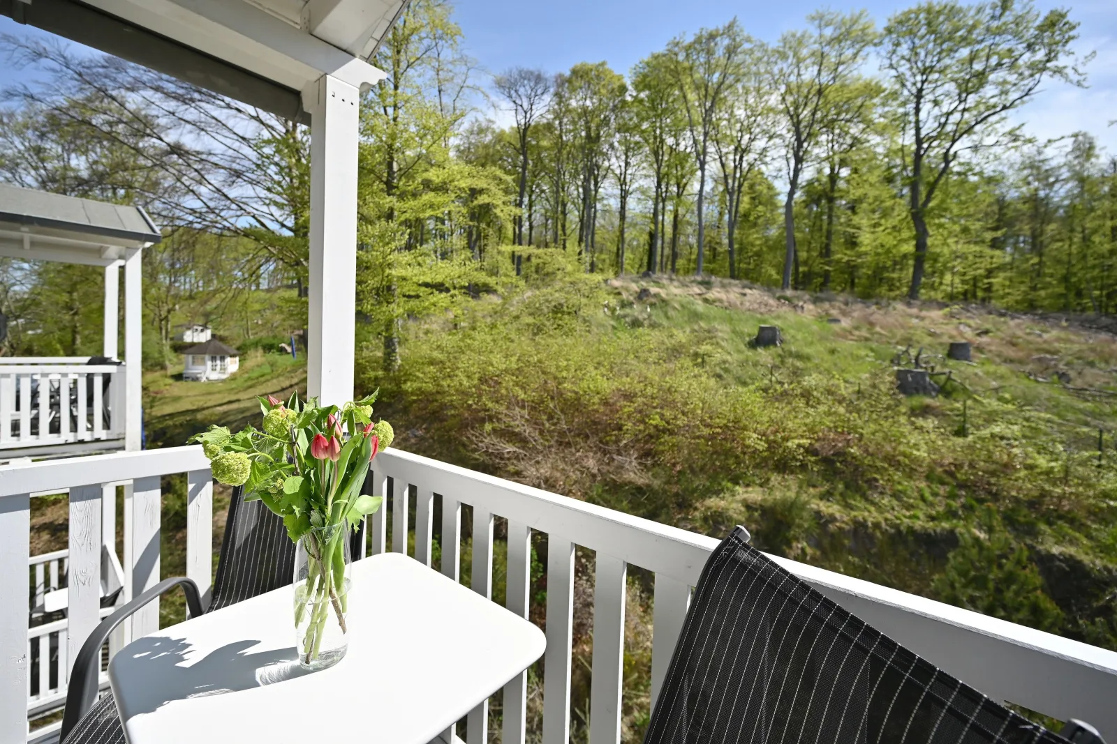 Ferienwohnung 12 Villa Celia Sellin Rügen