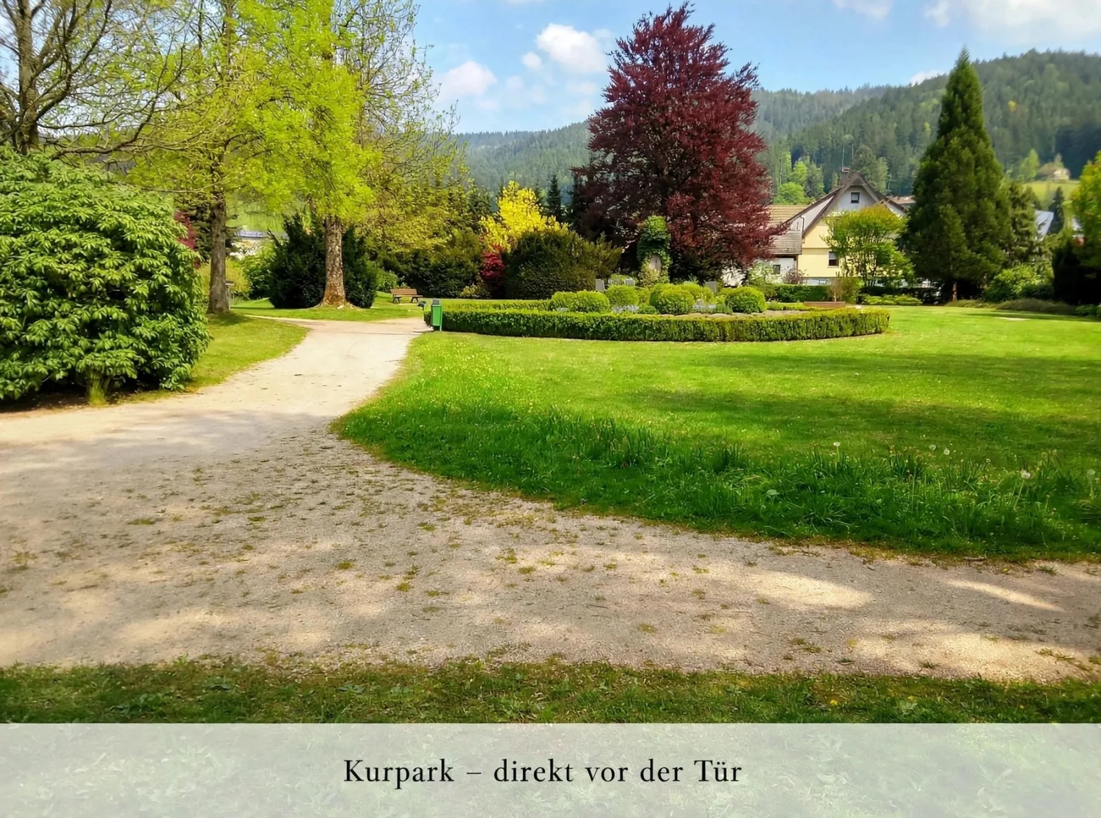 Ferienwohnung Waldrausch