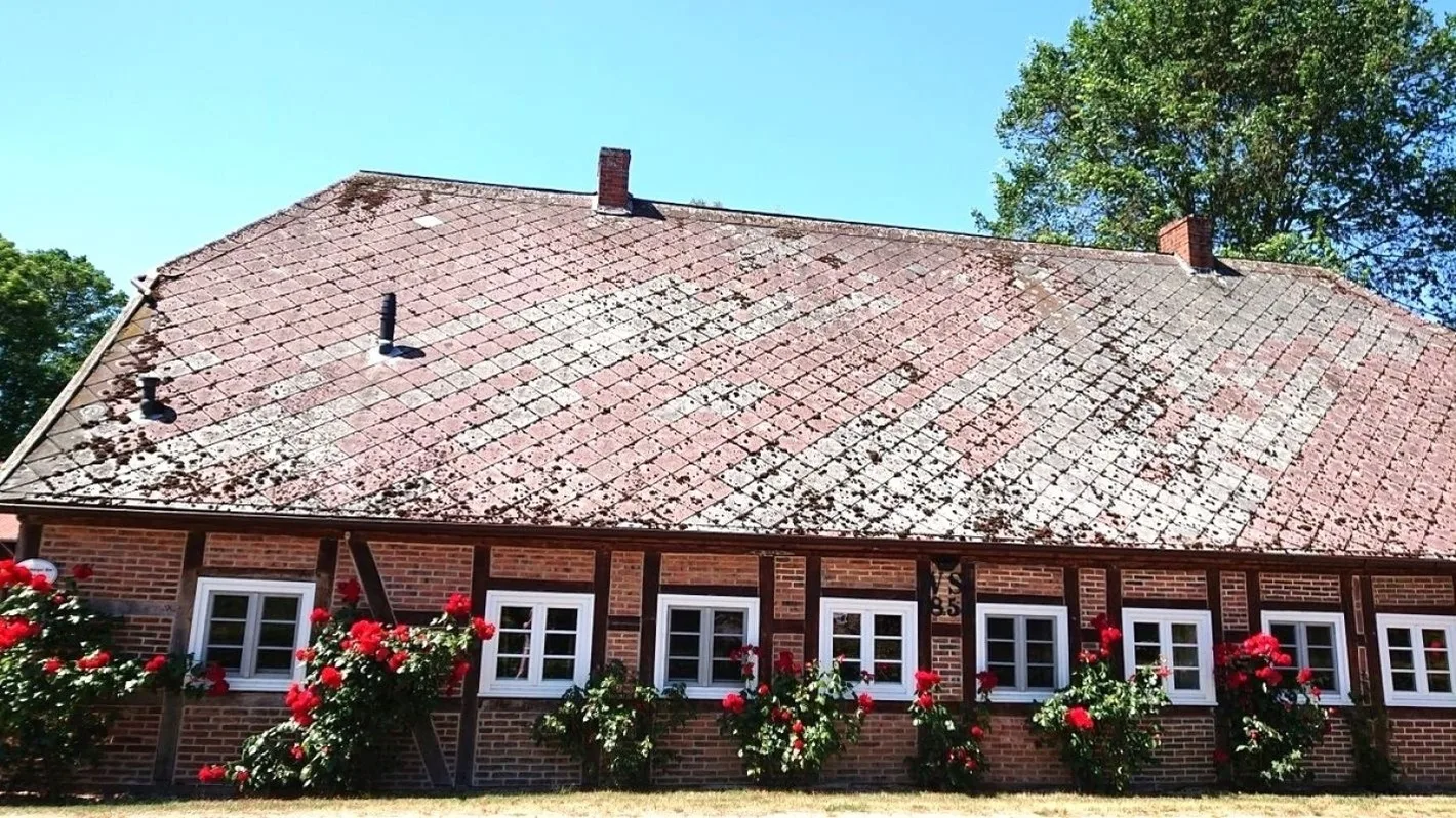 Lüdersburger Strasse 15b