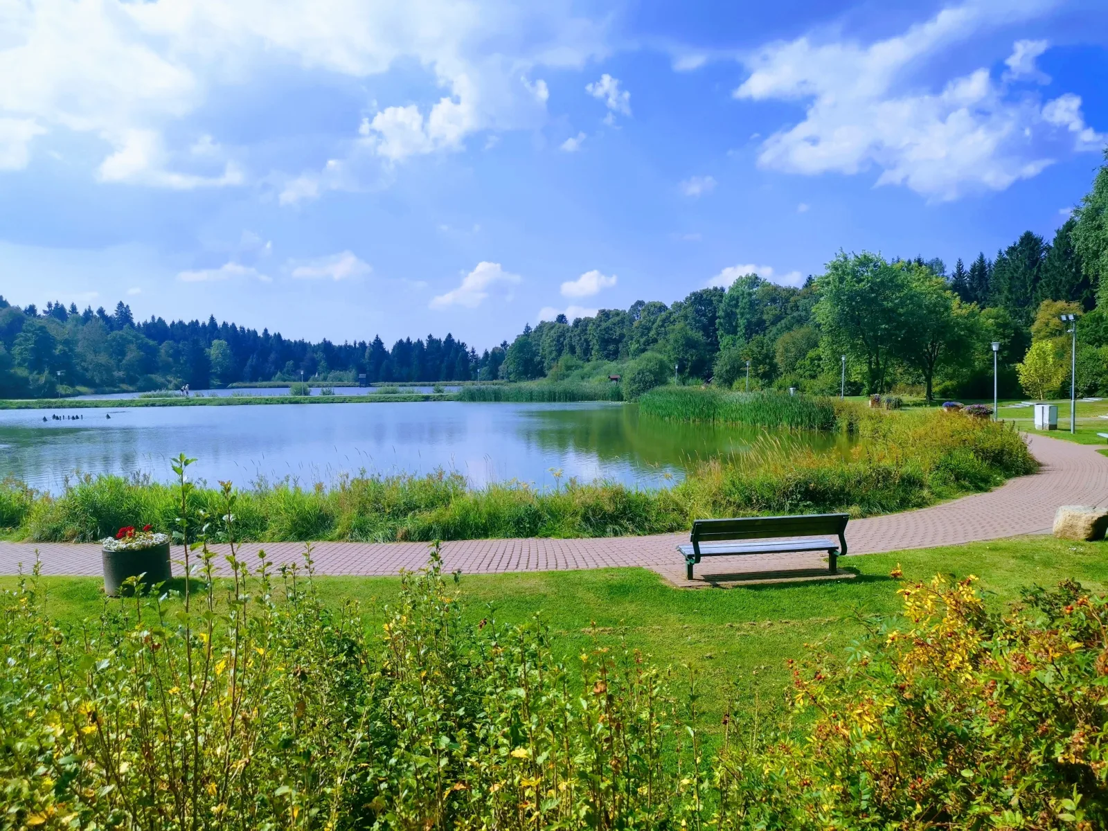 Hahnenklee mit Seeblick im Harz
