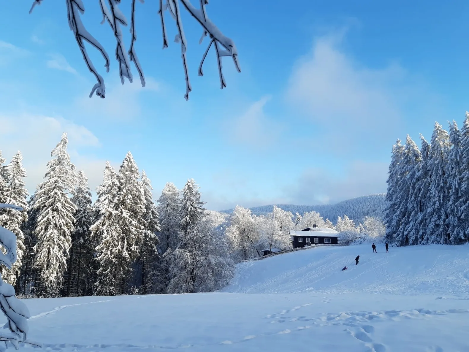 Hahnenklee mit Seeblick im Harz
