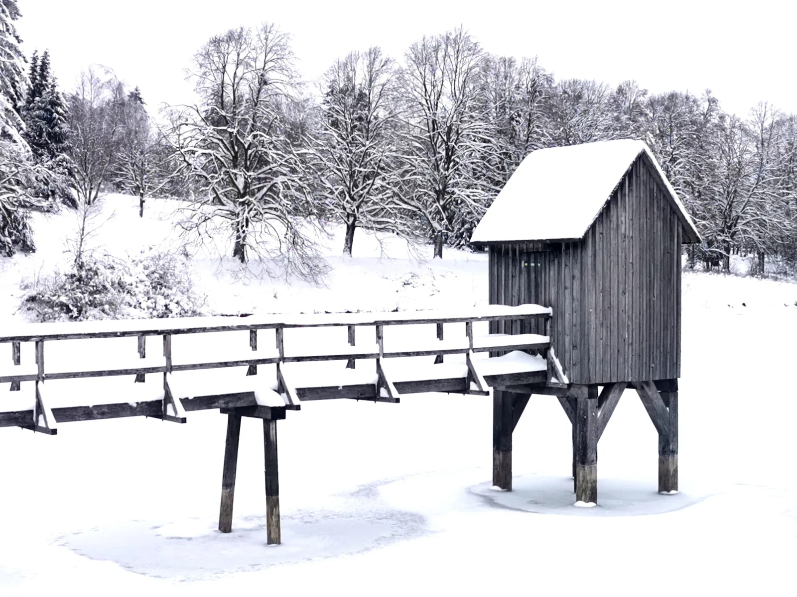 Hahnenklee mit Seeblick im Harz