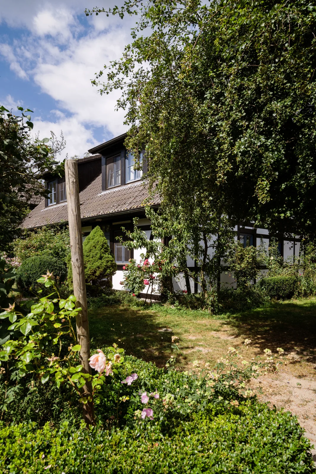 4-Raum Apartment bis 6 Pers. (2.2)