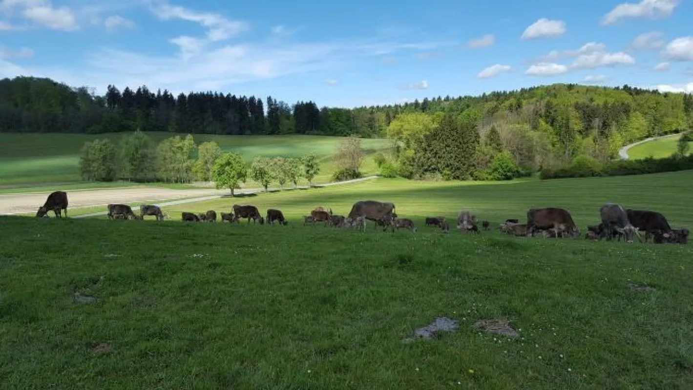 Rösslerhof Ferienwohnung Rösslerweiher