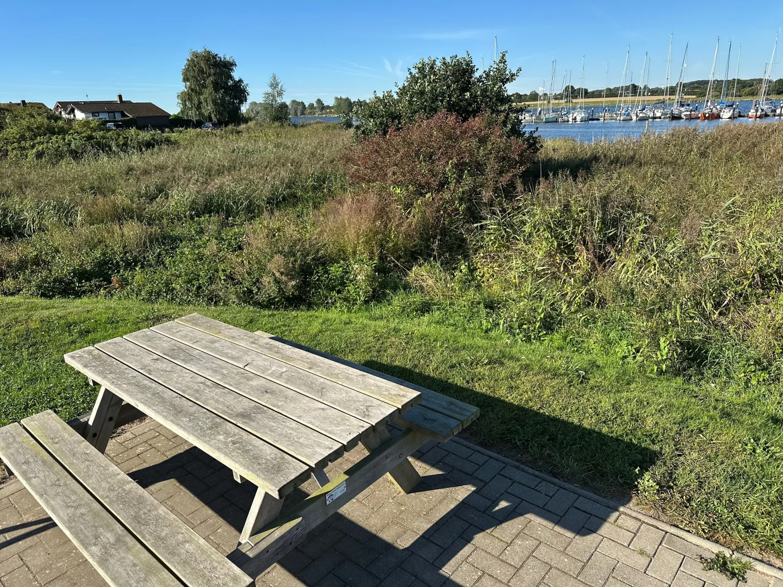 Zwischen Schlei & Ostsee