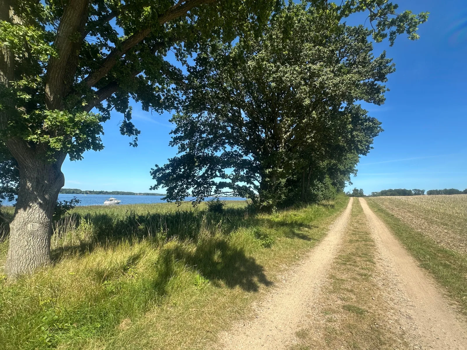Zwischen Schlei & Ostsee