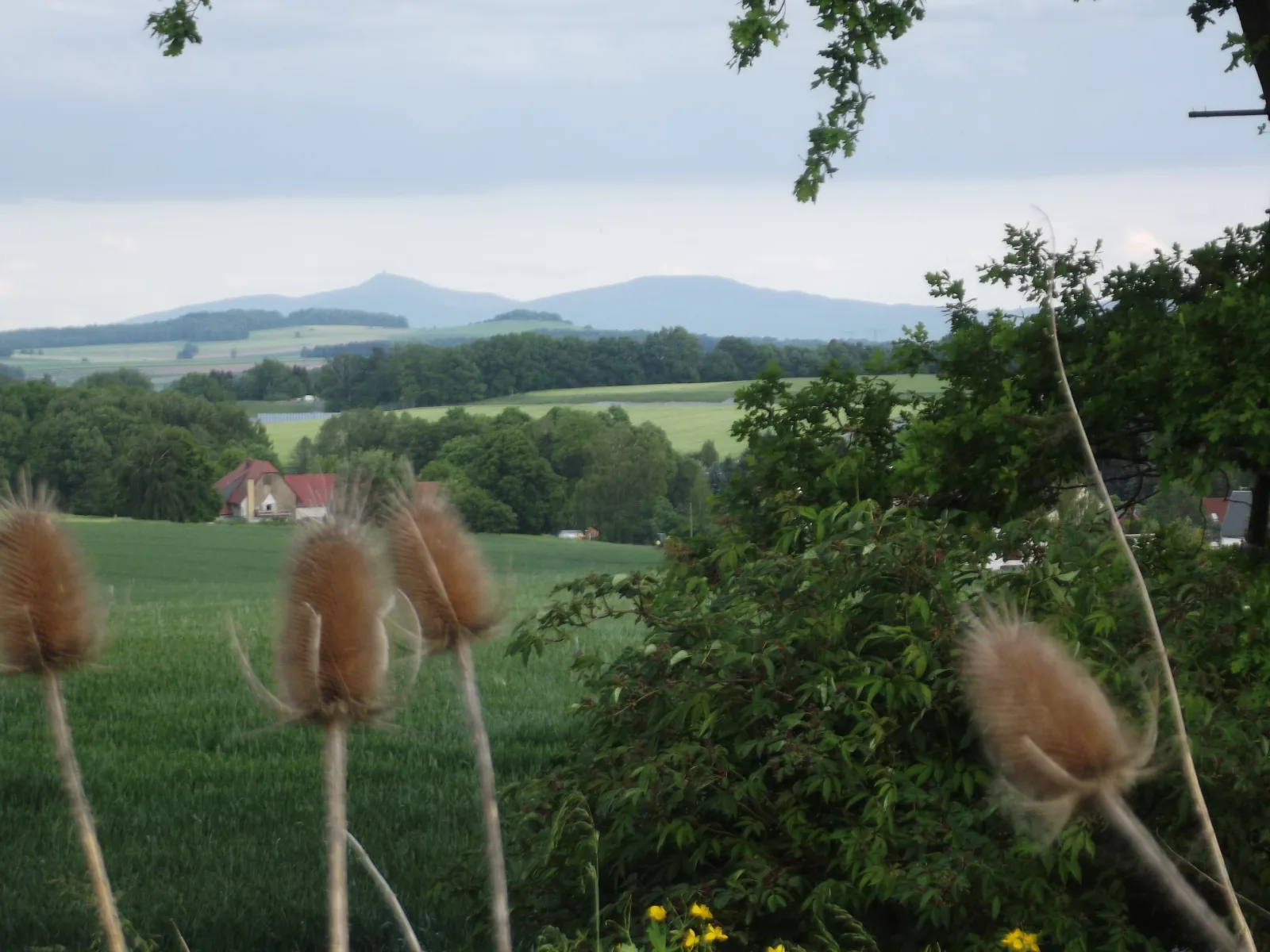 Zum Hecht, FeWo Spitzberg***