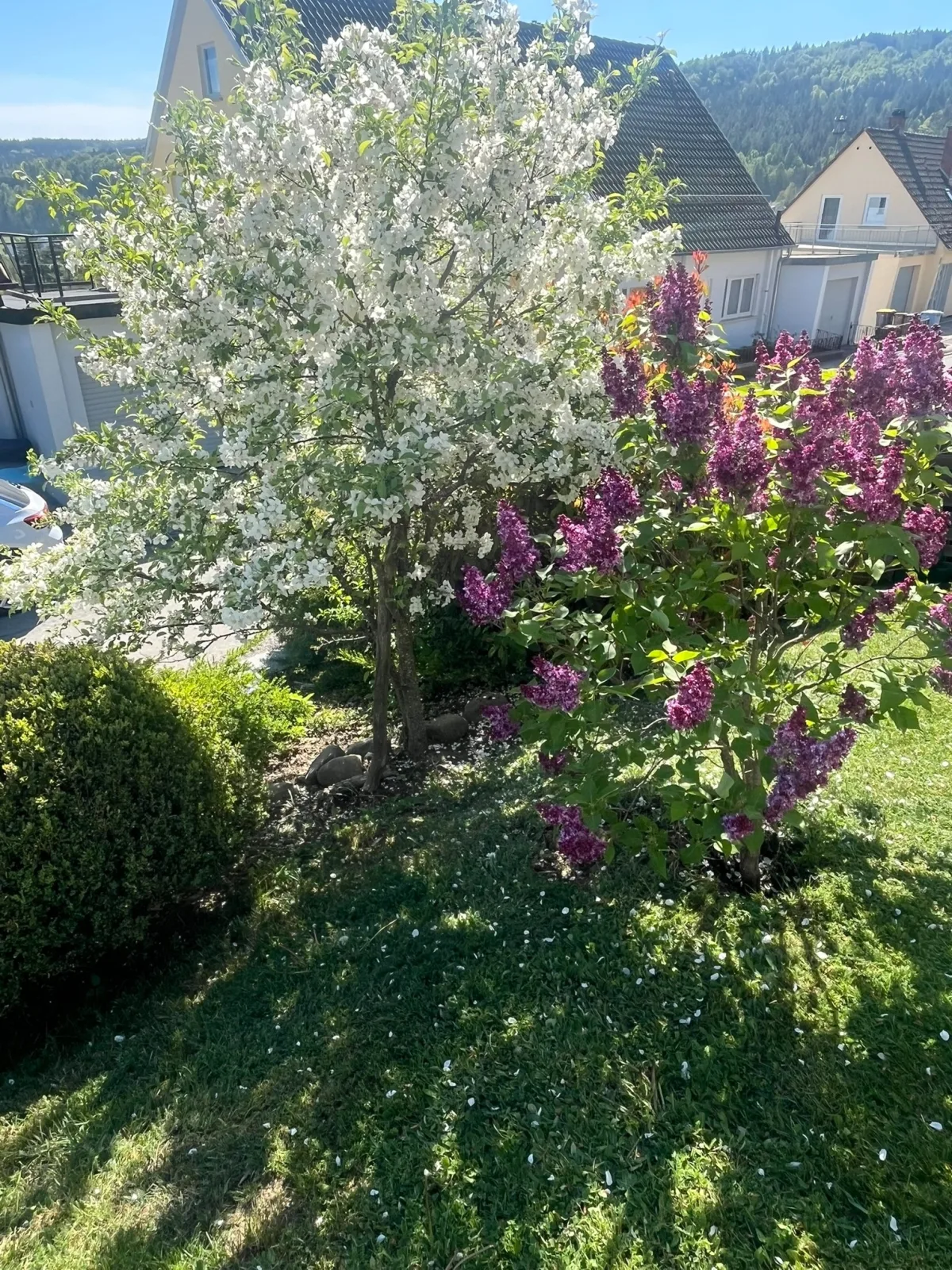 Ferienwohnung Jardin de lavande