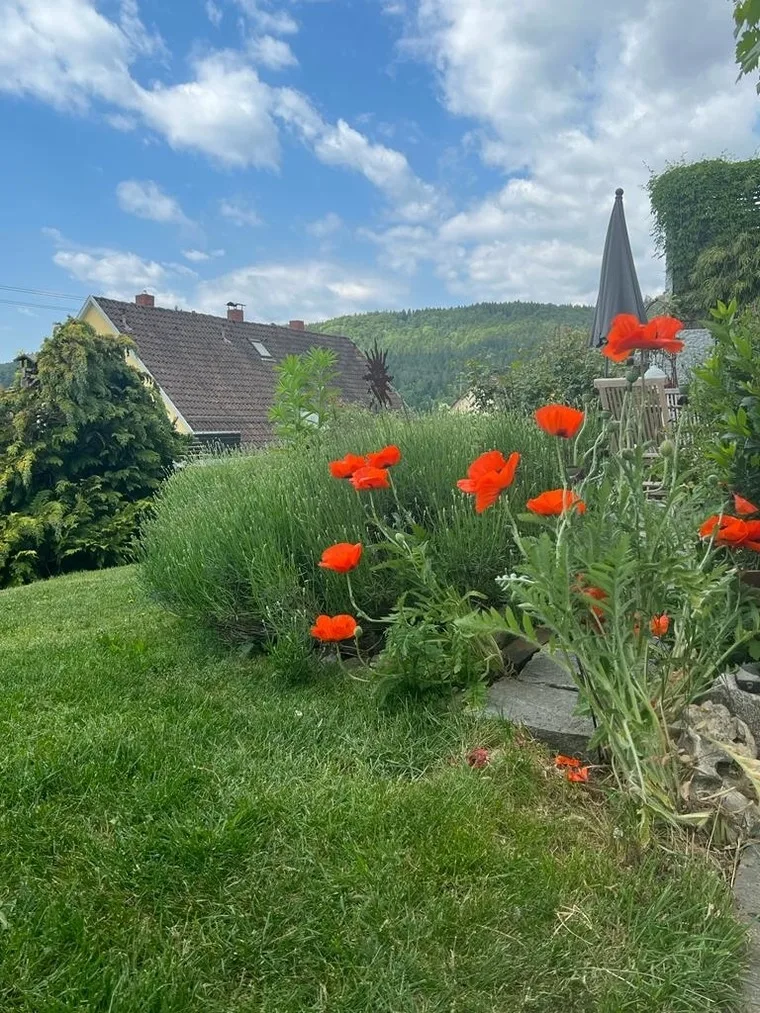 Ferienwohnung Jardin de lavande