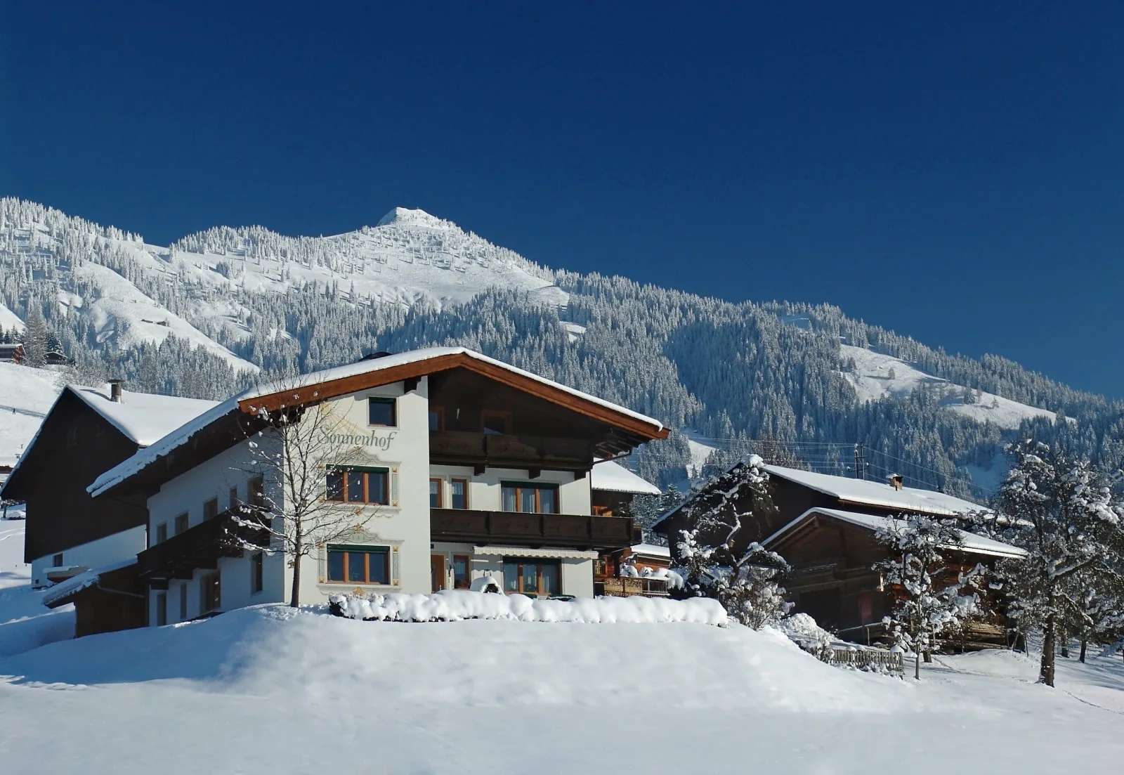 Der Sonnenhof - Appartement Steinbergstein
