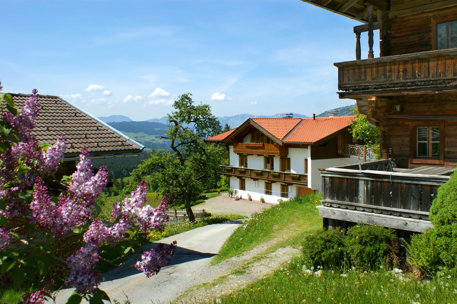 Der Sonnenhof - Appartement Steinbergstein