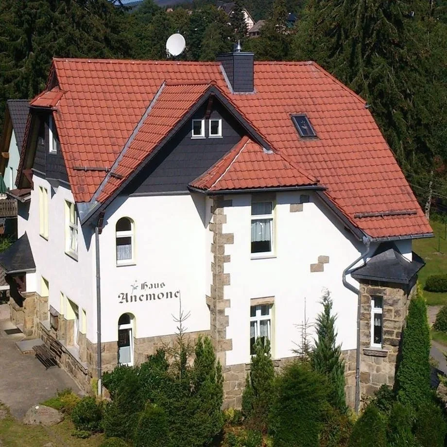 Friedegerns Fewos  in Jugendstilvilla - Fewo Goethe