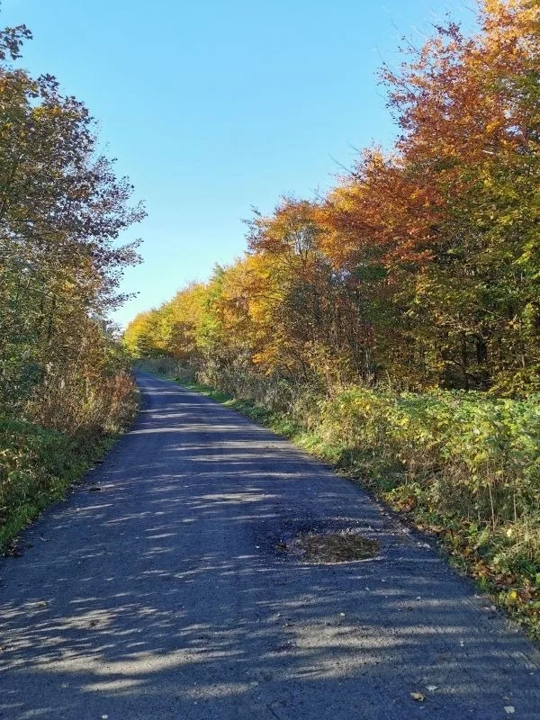 Bocksbergkieker im Ferienpark Hahnenklee