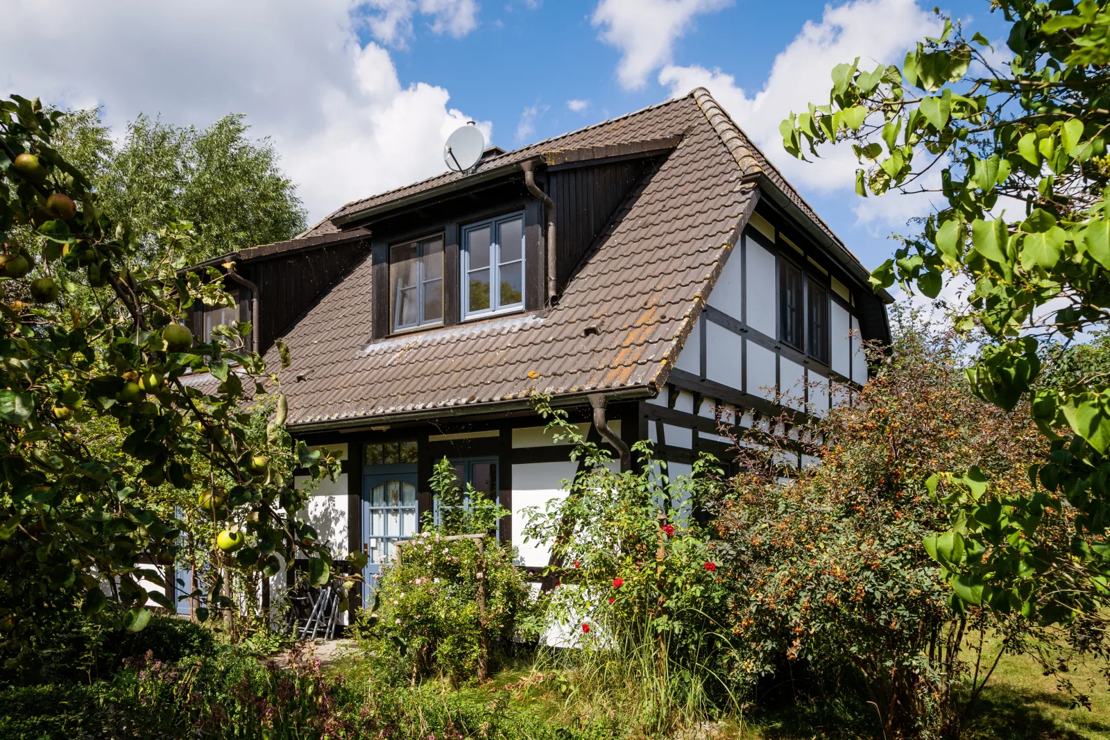 2-Raum Apartment bis 4 Pers. (1.3)