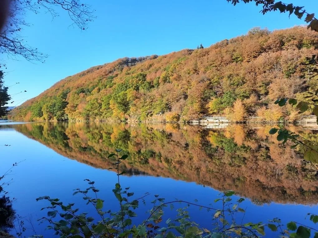 Ferienhaus 'Freund am See' 1