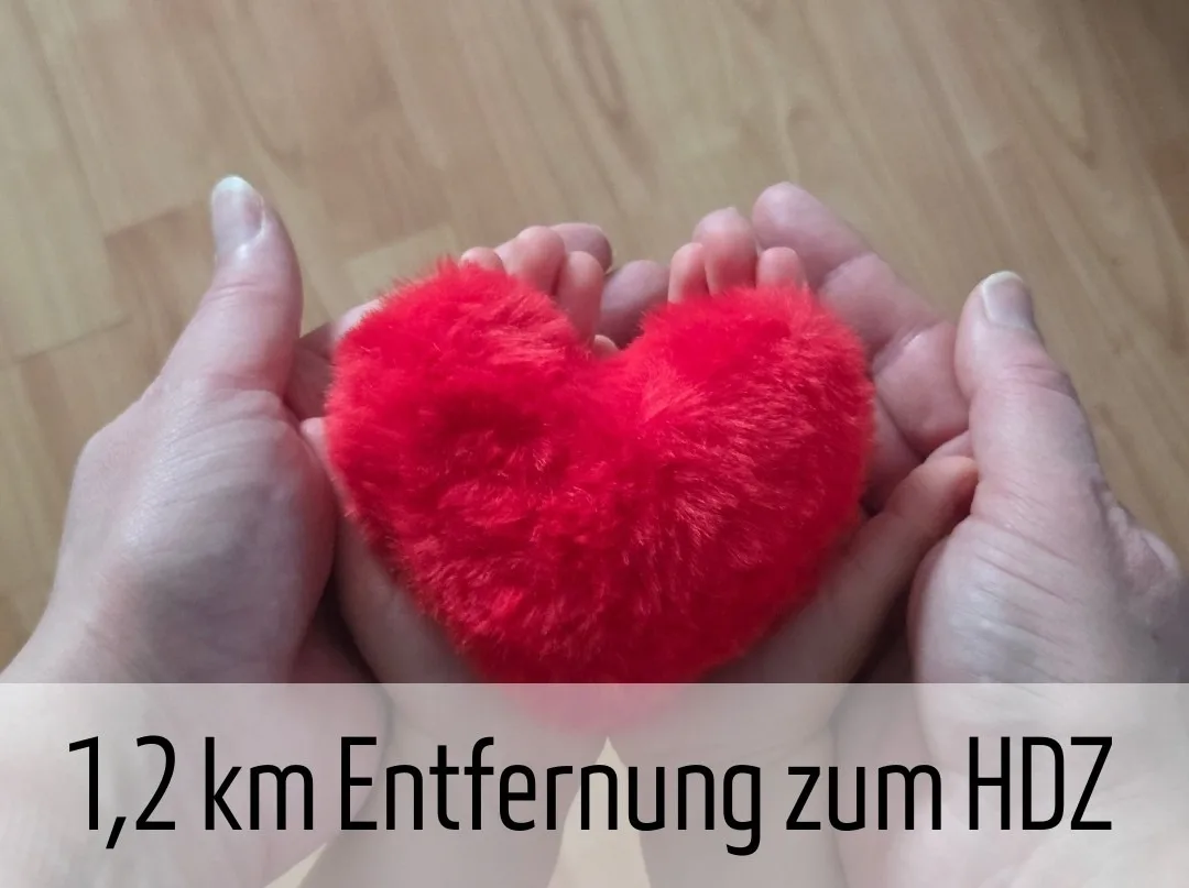 Retroversum Themen-Ferienwohnung