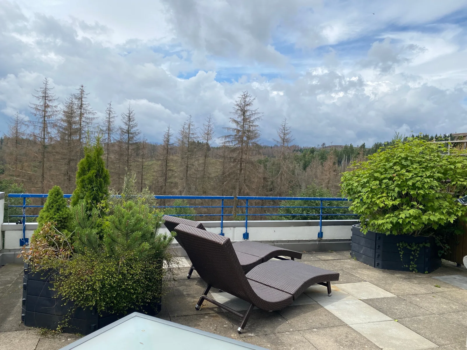 Ferienwohnung Harz #3, Pool, Sauna, WLAN