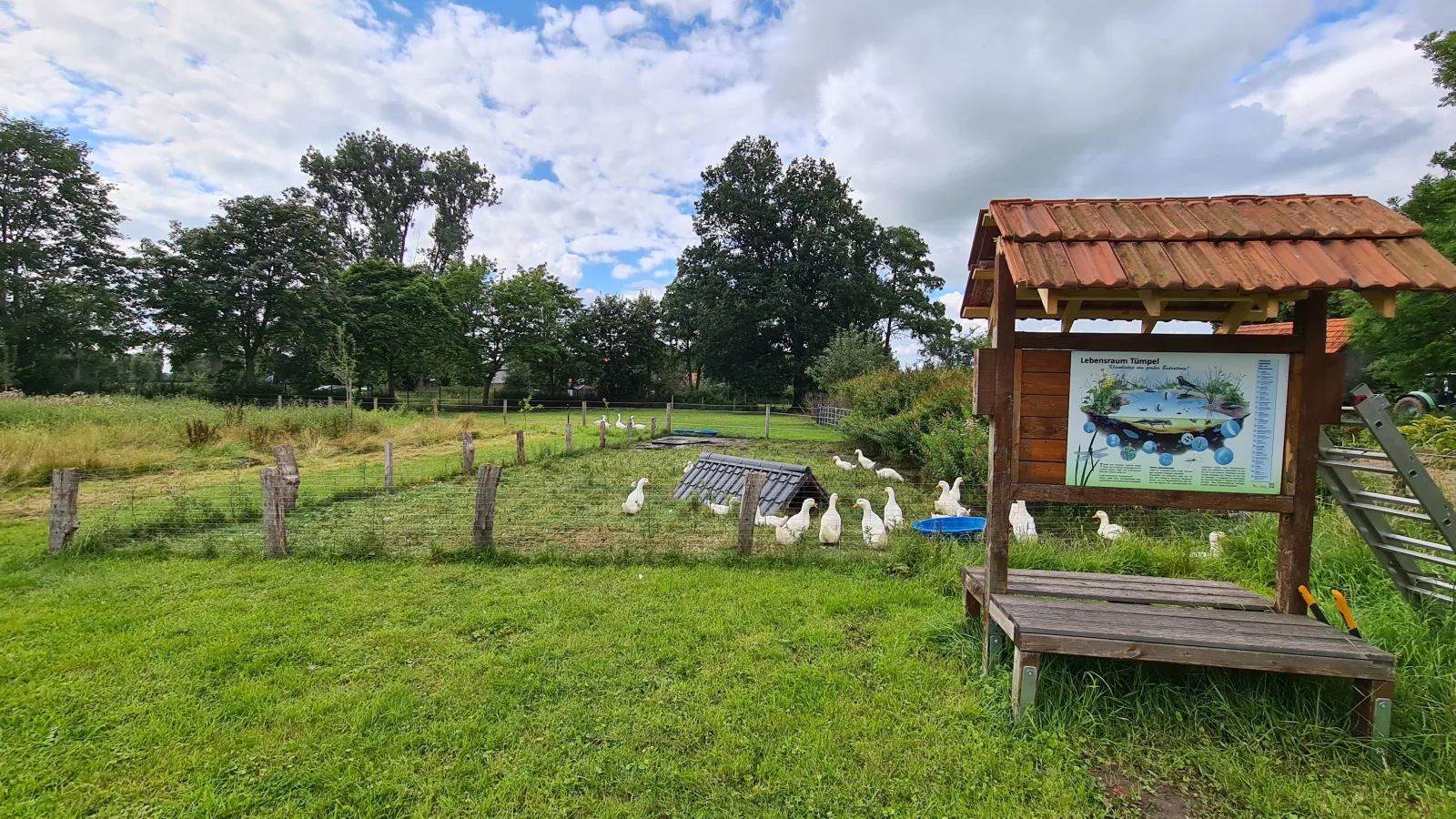 Naturhof Buschwiesen - Wohnung Nandu