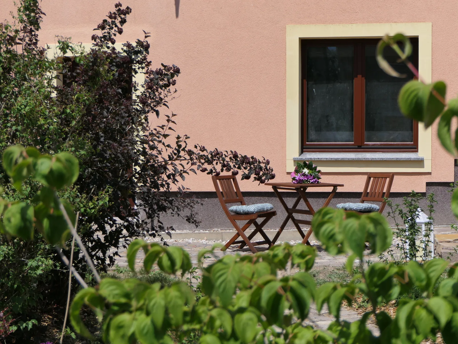 Fewo Blick zum Stern