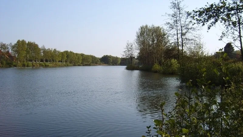 Vogelnest