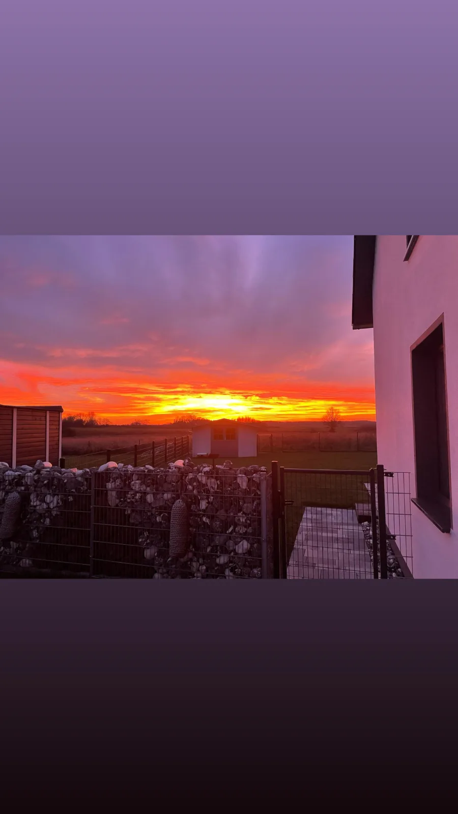 Kranichblick