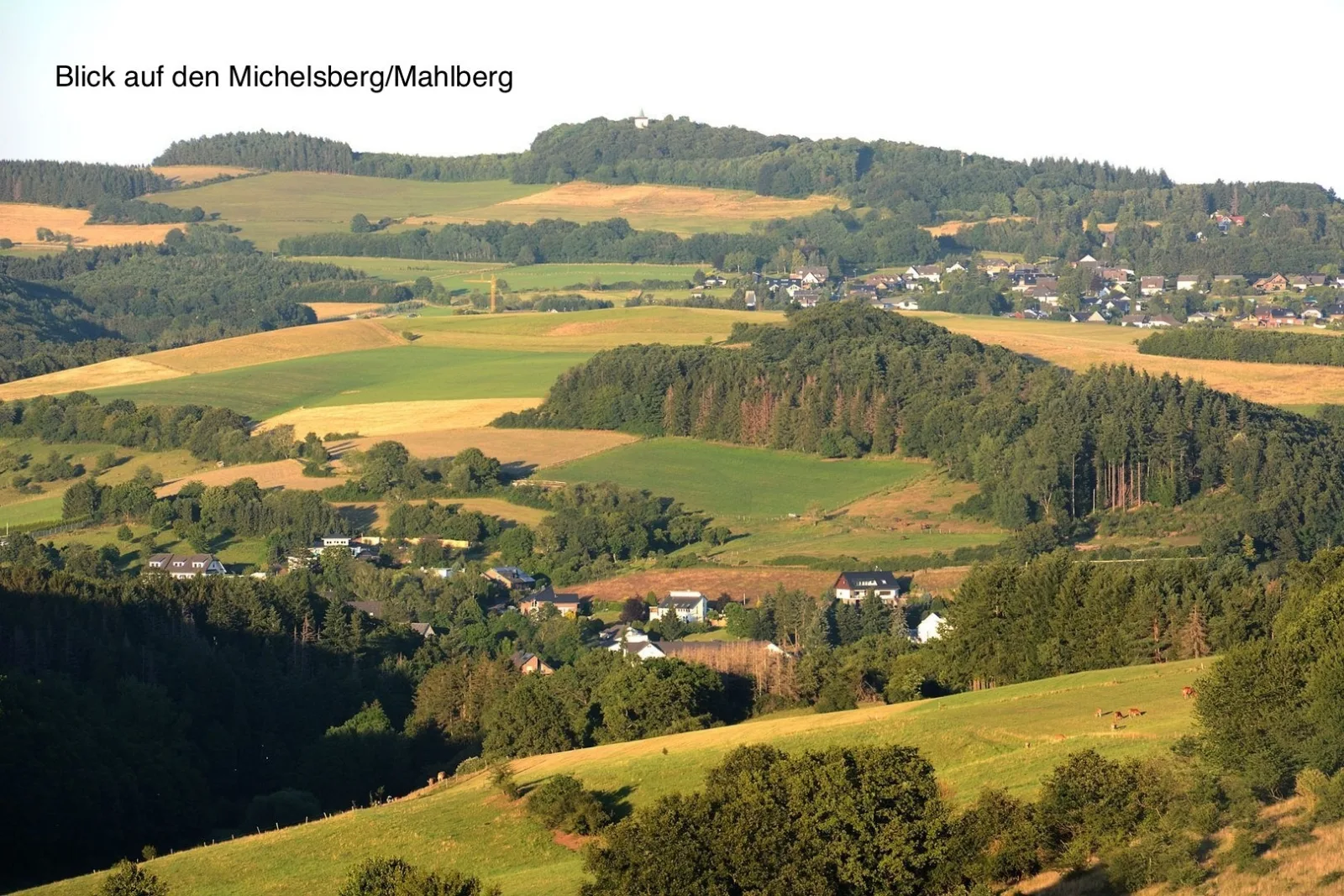 Wohlfühloase am Michelsberg