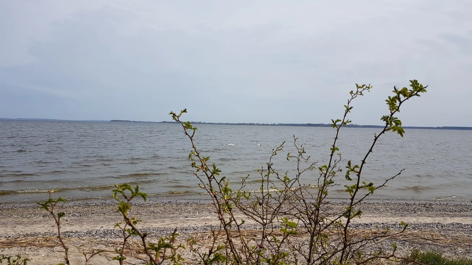 Zeit für Erholung, Ferienhaus A&C Prudlo, Usedom