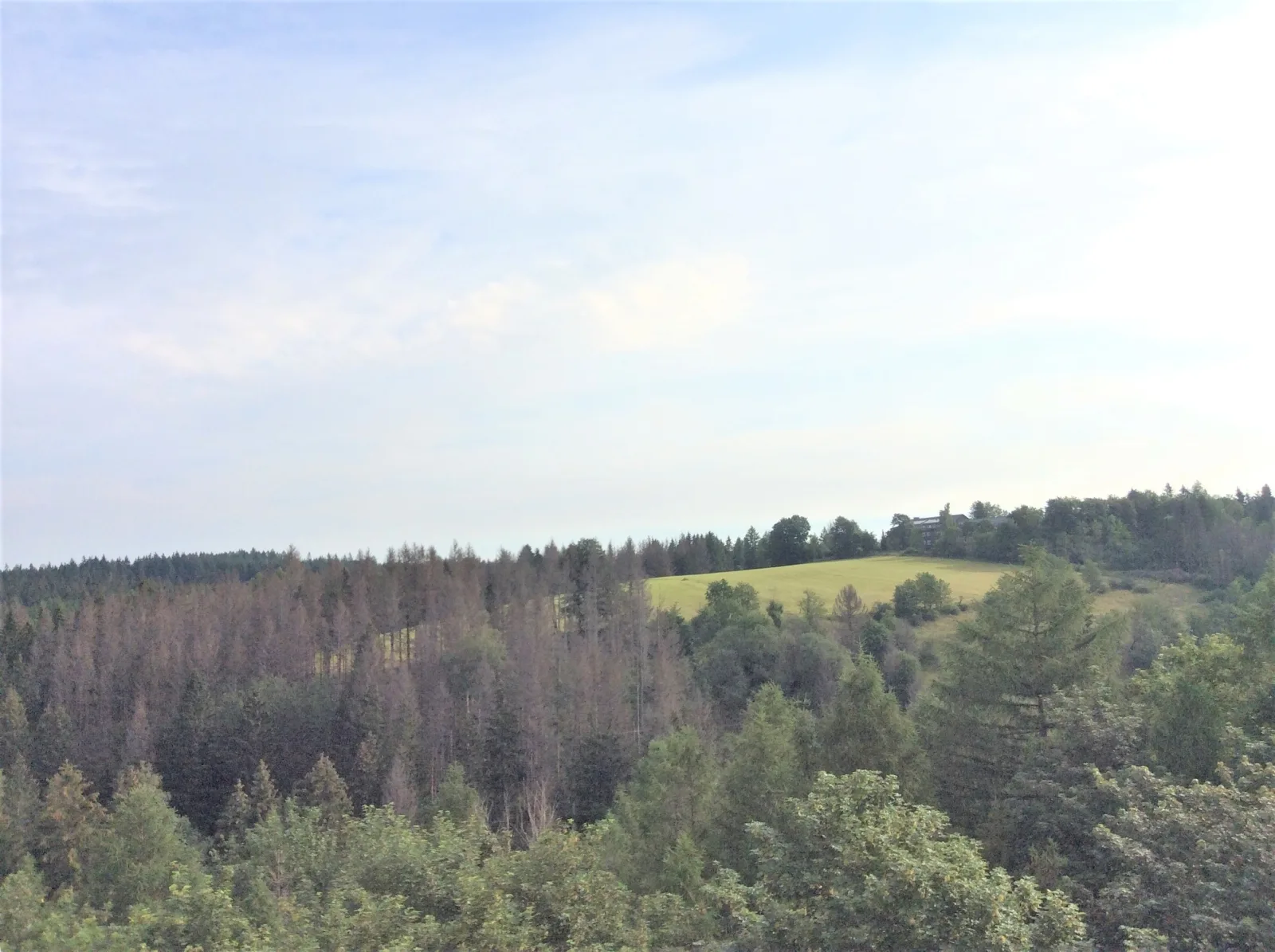 Ferienwohnung App. 256