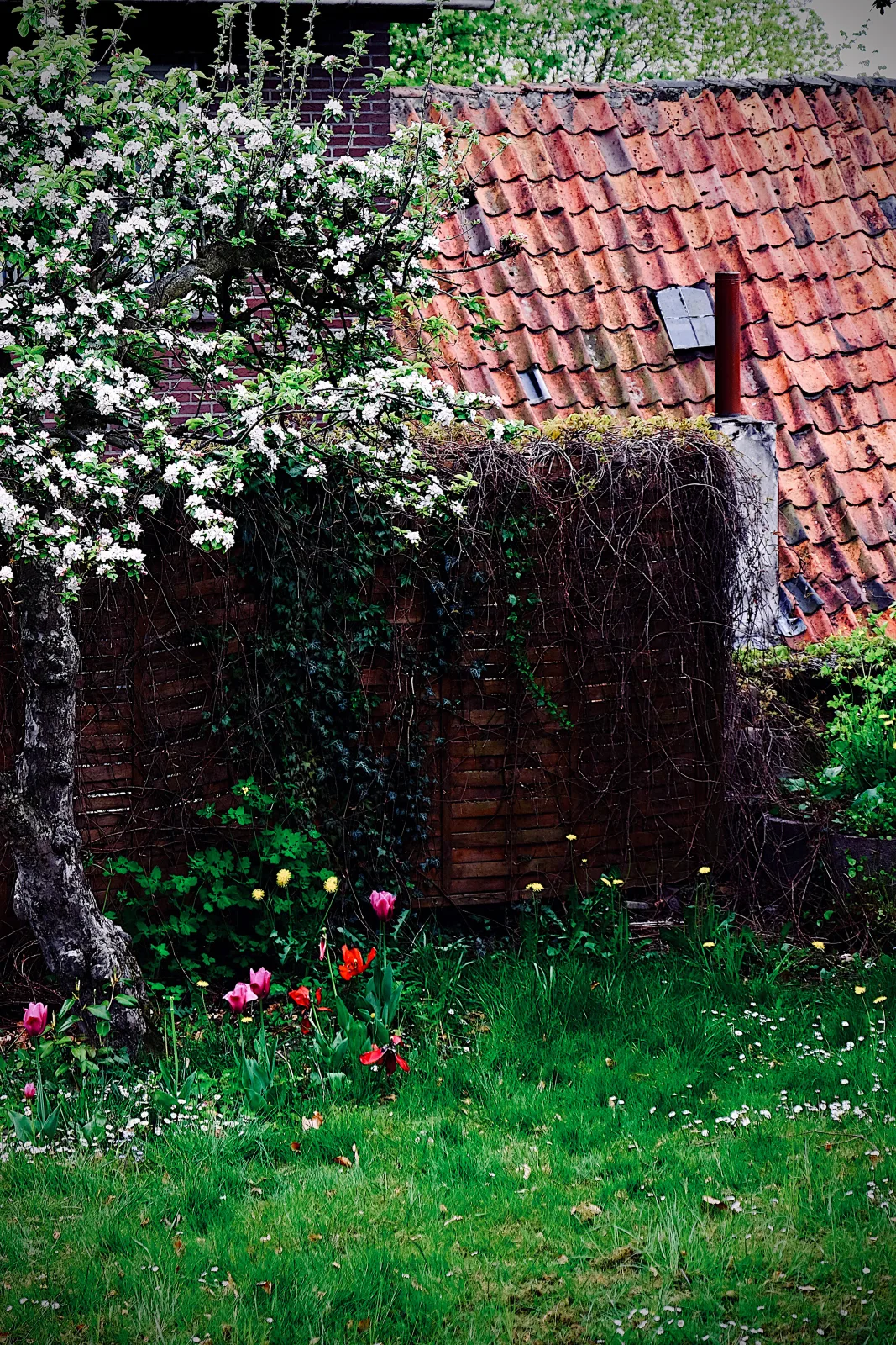 Löwenherz Appartement 1