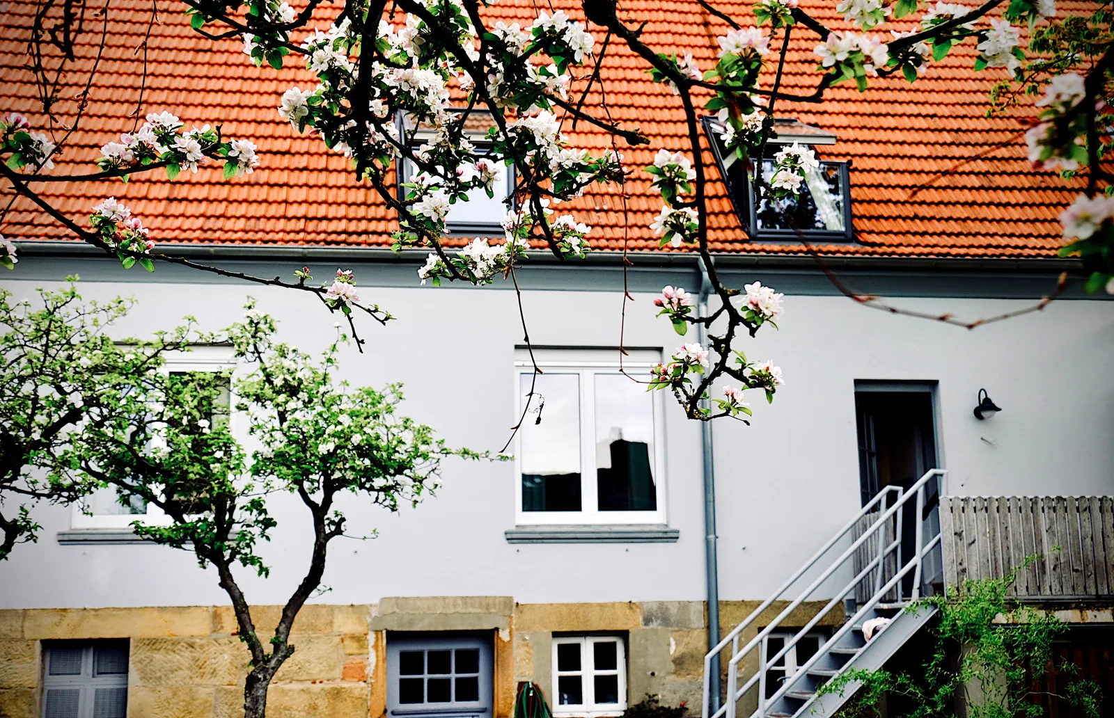 Löwenherz Appartement 1