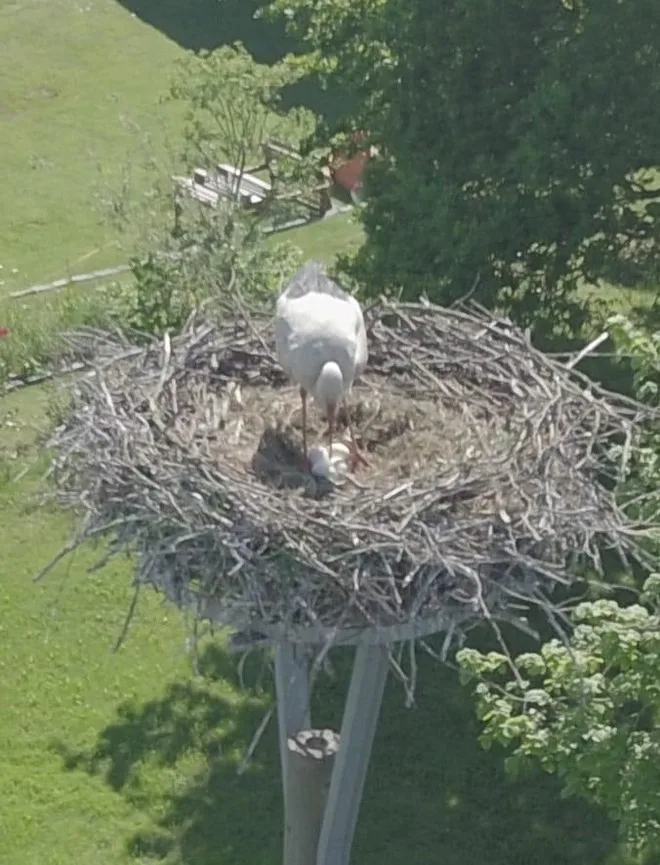 Ferienwohnung am Storchnest
